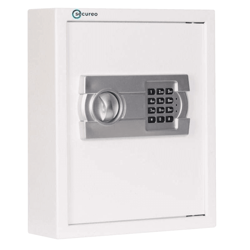 Protector Key